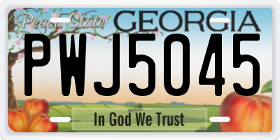 GA license plate PWJ5045