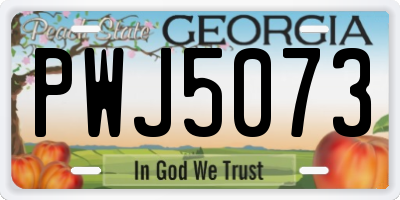 GA license plate PWJ5073