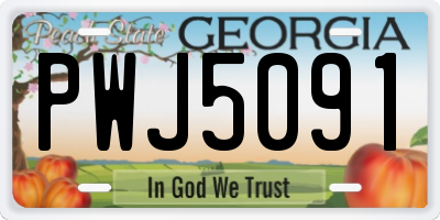 GA license plate PWJ5091