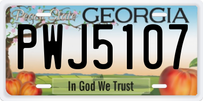 GA license plate PWJ5107