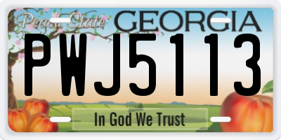 GA license plate PWJ5113