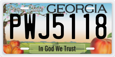 GA license plate PWJ5118