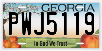 GA license plate PWJ5119