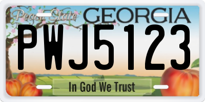 GA license plate PWJ5123