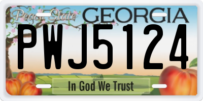 GA license plate PWJ5124