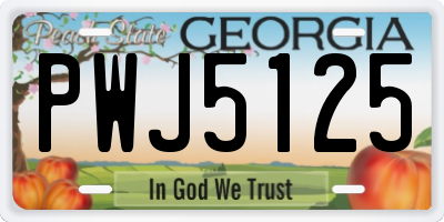 GA license plate PWJ5125