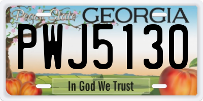 GA license plate PWJ5130