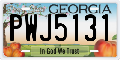 GA license plate PWJ5131