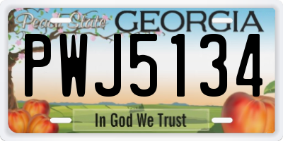 GA license plate PWJ5134