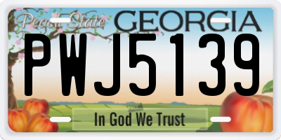 GA license plate PWJ5139