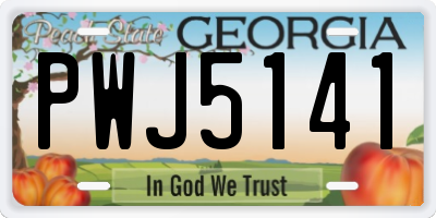 GA license plate PWJ5141