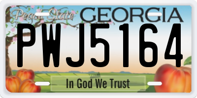 GA license plate PWJ5164