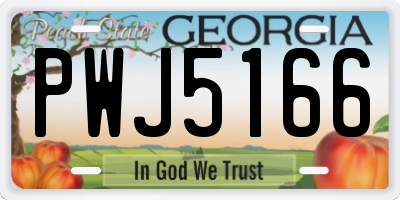 GA license plate PWJ5166