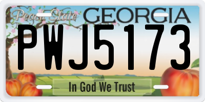 GA license plate PWJ5173