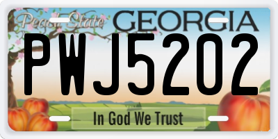 GA license plate PWJ5202