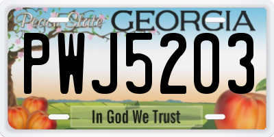 GA license plate PWJ5203