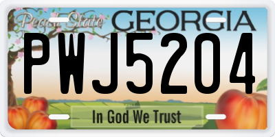 GA license plate PWJ5204