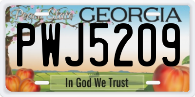 GA license plate PWJ5209