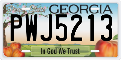 GA license plate PWJ5213