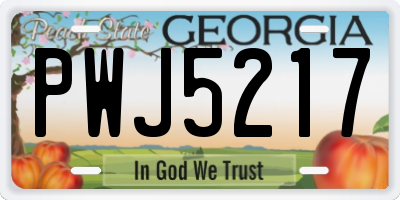 GA license plate PWJ5217