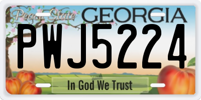 GA license plate PWJ5224