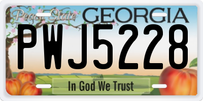 GA license plate PWJ5228