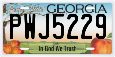 GA license plate PWJ5229