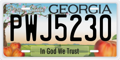 GA license plate PWJ5230