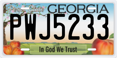 GA license plate PWJ5233