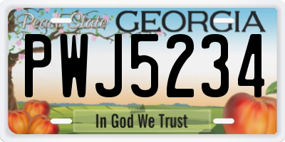 GA license plate PWJ5234