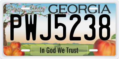 GA license plate PWJ5238