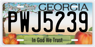 GA license plate PWJ5239