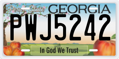 GA license plate PWJ5242