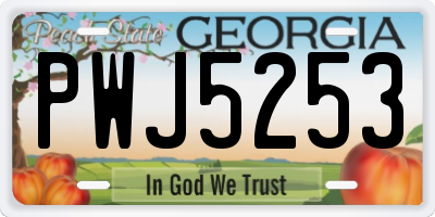 GA license plate PWJ5253
