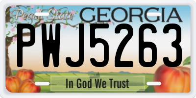 GA license plate PWJ5263