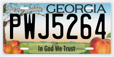 GA license plate PWJ5264