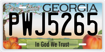 GA license plate PWJ5265