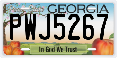 GA license plate PWJ5267