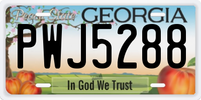 GA license plate PWJ5288