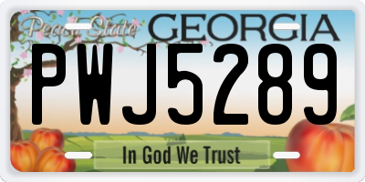 GA license plate PWJ5289