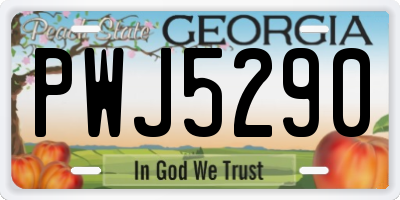 GA license plate PWJ5290
