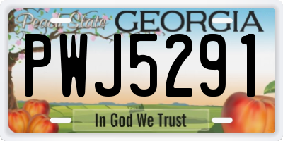 GA license plate PWJ5291