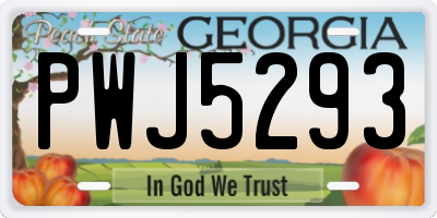 GA license plate PWJ5293