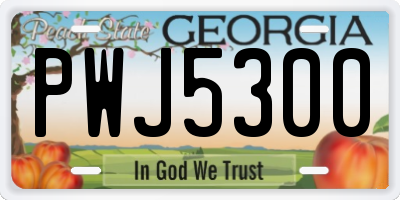 GA license plate PWJ5300