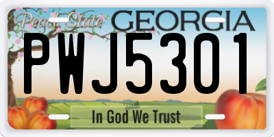 GA license plate PWJ5301