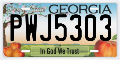 GA license plate PWJ5303