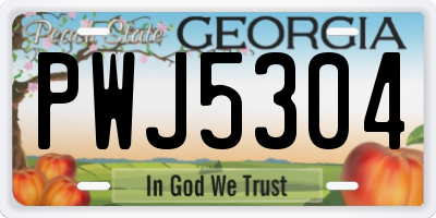 GA license plate PWJ5304