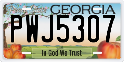 GA license plate PWJ5307