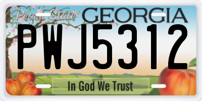 GA license plate PWJ5312