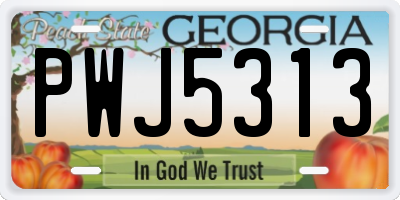 GA license plate PWJ5313